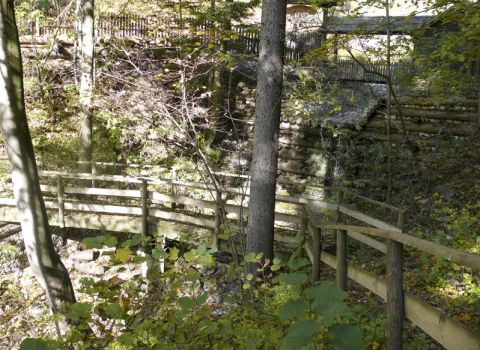 Creation of a nature trail  in the forest -Tarvisio (UD)