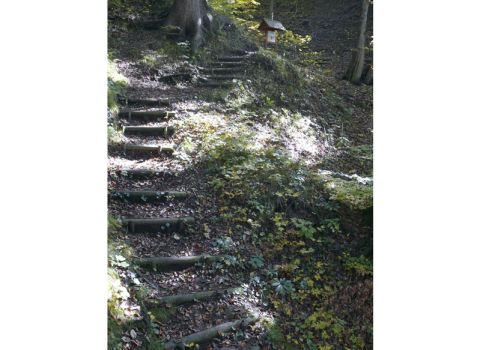 Creation of a nature trail  in the forest -Tarvisio (UD)