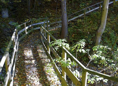 Creation of a nature-walking trail at valley-bottom - Tarvisio (UD)