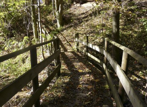 Creation of a nature-walking trail at valley-bottom - Tarvisio (UD)