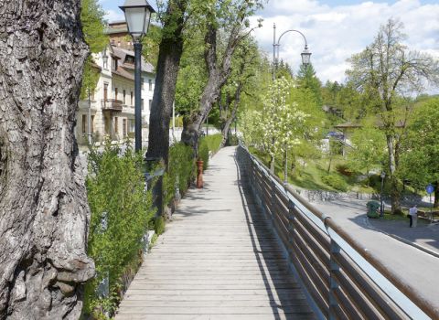 Revitalisation of walk - Tarvisio (UD)