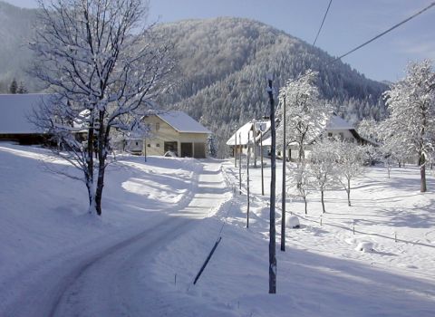 Insediamenti storici Valcanale