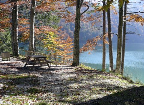 Realizzazione sentiero attrezzato  lungo il lago Raibl - Tarvisio (UD)