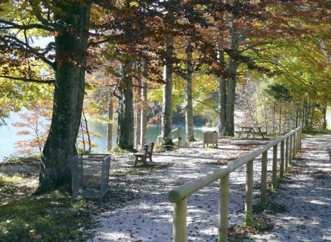 Realizzazione sentiero attrezzato  lungo il lago Raibl - Tarvisio (UD)