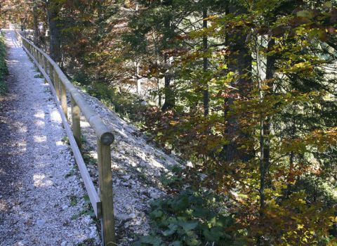 Realizzazione sentiero attrezzato  lungo il lago Raibl - Tarvisio (UD)