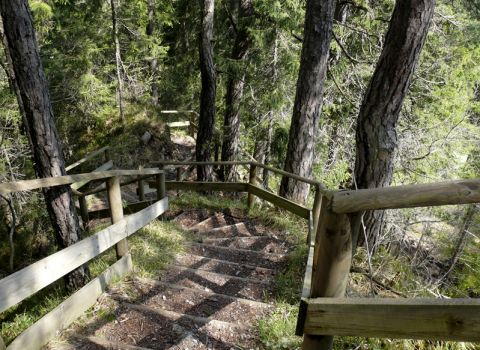 Restoration of a historical path in the precipice of the Slizza river - Tarvisio (UD)