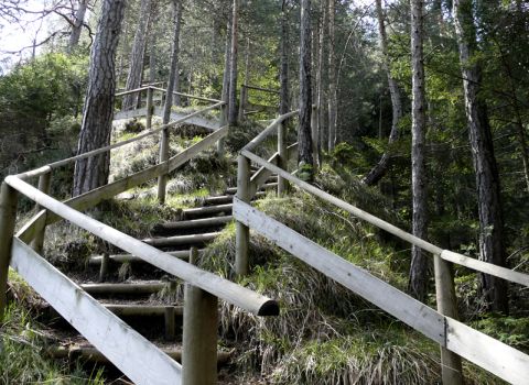 Restoration of a historical path in the precipice of the Slizza river - Tarvisio (UD)