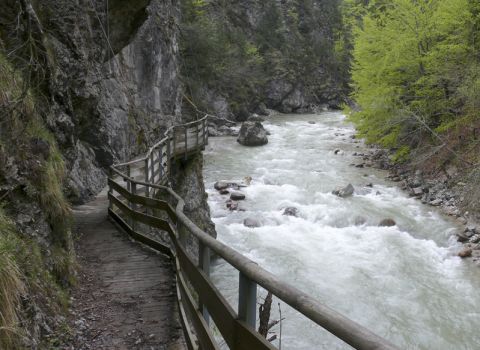 Restoration of a historical path in the precipice of the Slizza river - Tarvisio (UD)