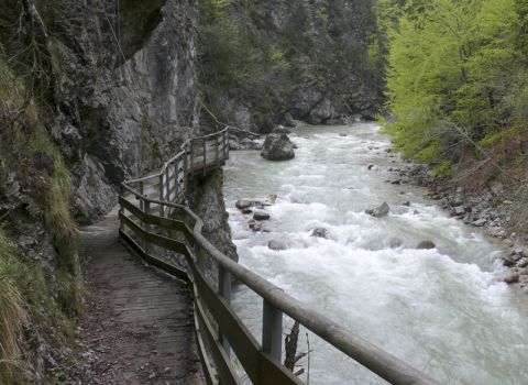 Ripristino sentiero storico nell’orrido del fiume Slizza - Tarvisio (UD)