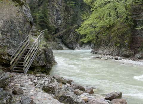 Restoration of a historical path in the precipice of the Slizza river - Tarvisio (UD)