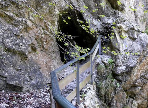 Ripristino sentiero storico nell’orrido del fiume Slizza - Tarvisio (UD)