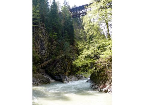 Restoration of a historical path in the precipice of the Slizza river - Tarvisio (UD)