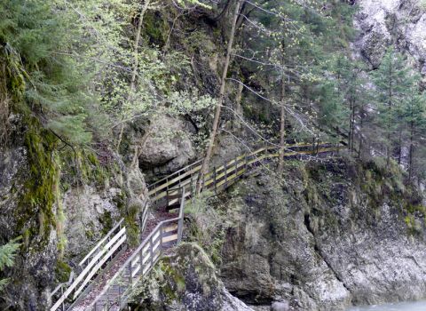 Restoration of a historical path in the precipice of the Slizza river - Tarvisio (UD)