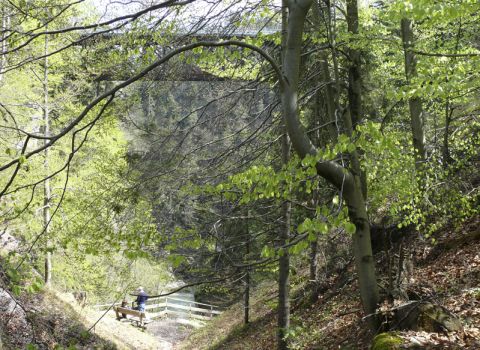 Ripristino sentiero storico nell’orrido del fiume Slizza - Tarvisio (UD)