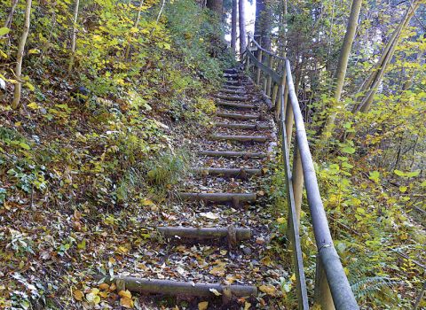 Creation of a nature trail  in the forest -Tarvisio (UD)